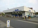 サンディ箕面東店(スーパー)まで211m※サンディ箕面東店 グランリッチ箕面