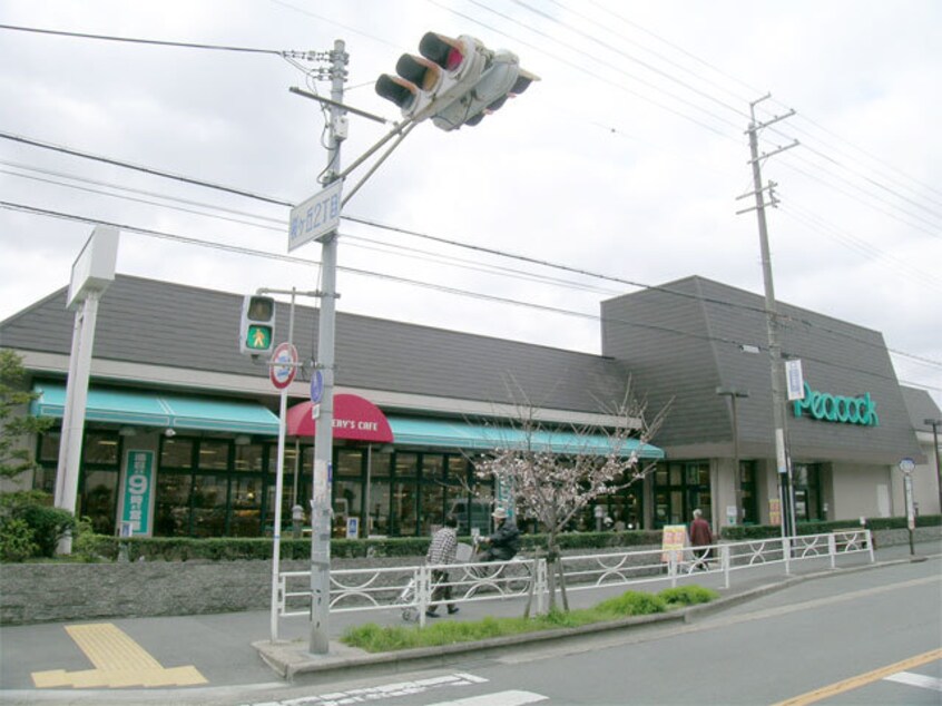 ピーコックストア箕面桜ケ丘店(スーパー)まで905m※ピーコックストア箕面桜ケ丘店 桜1丁目貸家