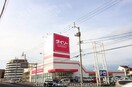 ダイソー　松島店(電気量販店/ホームセンター)まで299m 高松琴平電気鉄道<ことでん志度線>/松島二丁目駅 徒歩6分 8階 築34年