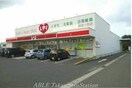 くすりのレディ高松一宮店(ドラッグストア)まで1179m セントリビエ