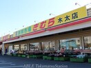 新鮮市場きむら木太店(スーパー)まで1355m アルト木太Ⅲ