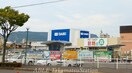 ＤＣＹダイキ　上福岡店(電気量販店/ホームセンター)まで2079m D-room　チェルシー　Ｂ棟