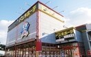 レディ薬局太田店(ドラッグストア)まで350m セラフィナイト