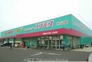 コスモス元山店(ドラッグストア)まで1100m クラール元山Ｃ