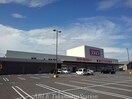 コスモス坂出昭和町店(ドラッグストア)まで1400m ミスト・ナタール