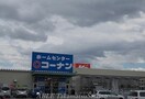 コーナン(電気量販店/ホームセンター)まで3600m フェリーチェ．Ｋ