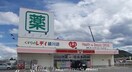 レディ薬局綾川店(ドラッグストア)まで3600m フェリーチェ．Ｋ