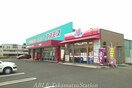 コスモス六条店(ドラッグストア)まで1100m エスポワールＢ