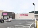 コスモス土器店(ドラッグストア)まで300m エルディム磯野