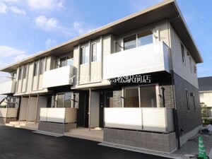 アプリコット　Ⅴ
