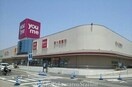 サークルK高松太田店(コンビニ)まで810m グレイスフル太田　Ｄ