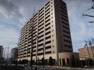 予讃線・内子線/高松駅 徒歩3分 8階 築20年の外観