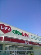 くすりのレデイ志度店(ドラッグストア)まで530m エーブル志度