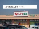 くすりのレディ川島店(ドラッグストア)まで700m グランデ　カーサＢ