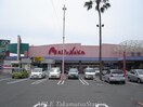 マルナカ（ショッピングセンター）(ショッピングセンター/アウトレットモール)まで800m サンタクララ大隅