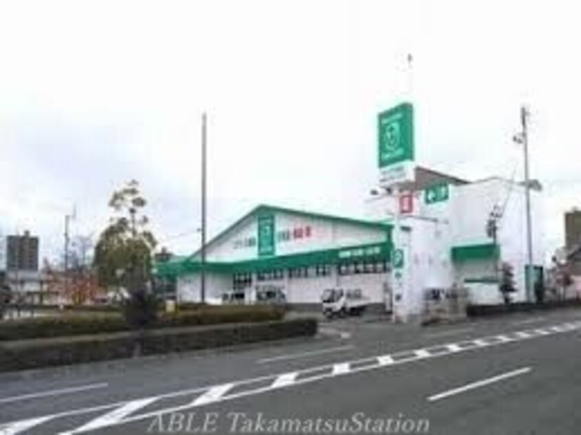 ザグザグ松縄店(ドラッグストア)まで266m Ｙ’ｓ　Ｇｒａｃｅ　松縄Ⅱ