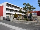 高松市立庵治小学校(小学校)まで178m シャーメゾン　Aji