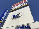 つるやゴルフ高松東バイパス店(ショッピングセンター/アウトレットモール)まで4825m ネオシスＢ