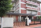 国分寺北部小学校(小学校)まで280m ハイツヤマシタ