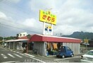 ダイキ(電気量販店/ホームセンター)まで920m グリーンダイヤ村瀬　Ａ棟