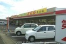 ザグザグ中央インター店(ドラッグストア)まで790m センチュリー２１　Ｃ