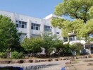 高松市立太田小学校(小学校)まで1081m M stage