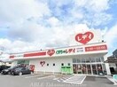 くすりのレデイ国分寺店(ドラッグストア)まで994m サーパス国分寺