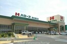 ハローズ高松春日店(スーパー)まで1000m レガート春日Ⅰ