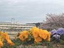 高松市立川東小学校(小学校)まで715m スカイハイツ　C棟