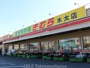 新鮮市場きむら木太店(スーパー)まで375m クレヴィア