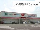 レディ薬局(ドラッグストア)まで1100m ニュープレイス　Ａ