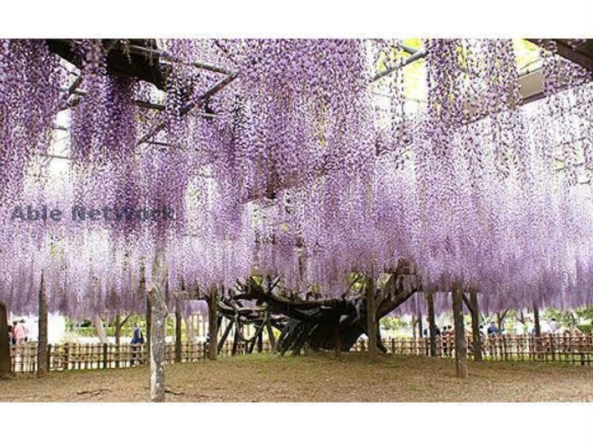 玉敷公園(公園)まで720m ネクスト・２