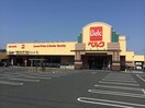 ベルク加須久下店(スーパー)まで1086m キャッスルバレー加須