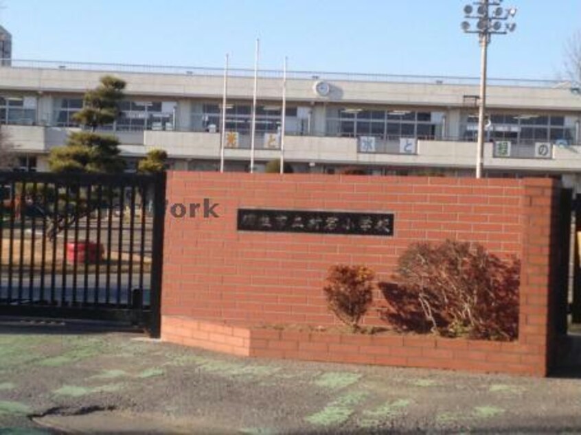 羽生市立村君小学校(小学校)まで493m ねこのしっぽ　A