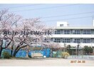 加須市立鴻茎小学校(小学校)まで1313m ジュネスⅡ