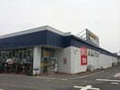 スーパーセンタートライアル騎西店(ディスカウントショップ)まで905m ジュネスⅡ
