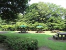 城山公園(公園)まで1078m マードレ六番館