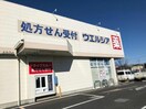 ウエルシア加須店(ドラッグストア)まで308m 花椿Ⅱ