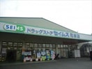 ドラッグセイムス花崎店(ドラッグストア)まで272m カーム鈴木