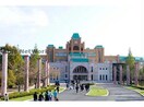 私立平成国際大学(大学/短大/専門学校)まで1364m カーム鈴木