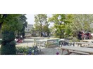 認定こども園こどもむらさくらのもり保育園(幼稚園/保育園)まで466m シャトーグリーンⅡ
