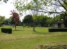 ふれあい公園(公園)まで1843m シャトーグリーンⅡ