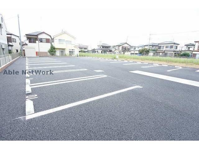  コスモス　ストリート