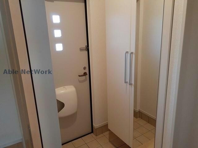  コスモス　ストリート