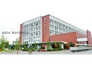 一般社団法人巨樹の会新久喜総合病院(病院)まで3371m パインズデフィⅡ