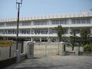 久喜市立鷲宮小学校(小学校)まで516m イーグル・アイⅡ