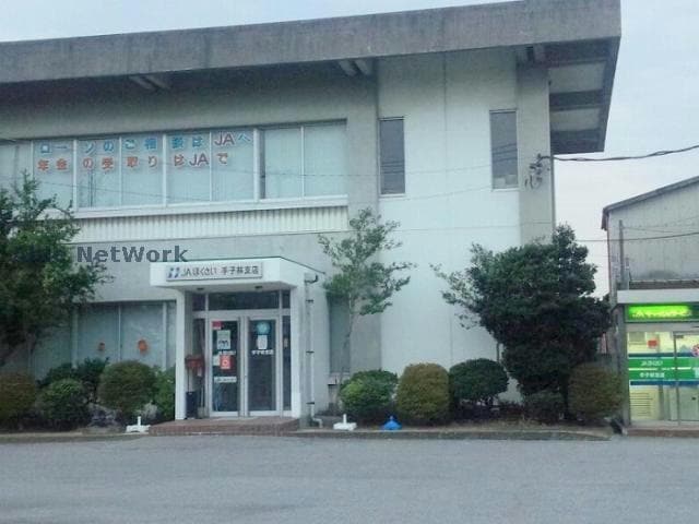 JAほくさい手子林支店(銀行)まで251m 南羽生武井貸家
