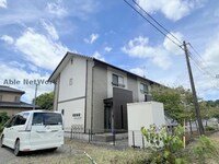 ラナンキュラス