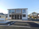 カリーノ花