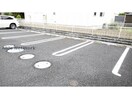  メルシー　サクラ